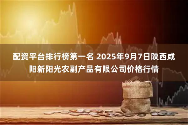 配资平台排行榜第一名 2025年9月7日陕西咸阳新阳光农副产品有限公司价格行情