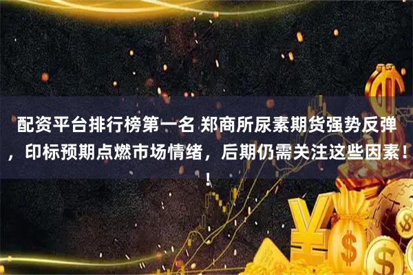 配资平台排行榜第一名 郑商所尿素期货强势反弹，印标预期点燃市场情绪，后期仍需关注这些因素！